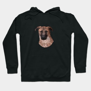 Lincoln the Dane Mix Hoodie